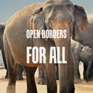 Open-Borders-for-All
